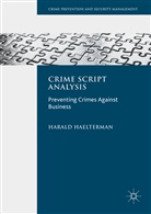 Harald Haelterman - Crime Script Analysis