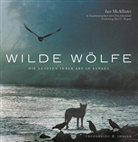 Ian McAllister - Wilde Wölfe