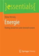 Heinz Herwig, Heinz (Prof. Dr.-Ing.) Herwig - Energie