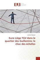 Ludivine Depasse - Euro Liège TGV dans le quartier des Guillemins: le choc des échelles