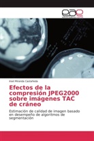 Iroel Miranda Castañeda - Efectos de la compresión JPEG2000 sobre imágenes TAC de cráneo