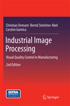 Christia Demant, Christian Demant, C Garnica, Carsten Garnica, Bern Streicher-Abel, Bernd Streicher-Abel - Industrial Image Processing