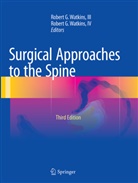 Rober G Watkins III, Robert G Watkins III, G Watkins IV, G Watkins IV, III Watkins, IV Watkins... - Surgical Approaches to the Spine