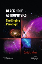 David L Meier, David L. Meier - Black Hole Astrophysics