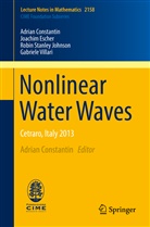 Adria Constantin, Adrian Constantin, Joachi Escher, Joachim Escher, Robin Johnson, Robin Stanley Johnson... - Nonlinear Water Waves