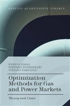 Enric Edoli, Enrico Edoli, Stefan Fiorenzani, Stefano Fiorenzani, Stefano Edoli Fiorenzani, Tizian Vargiolu... - Optimization Methods for Gas and Power Markets