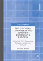 Stuart A Brown, Stuart A. Brown - European Commission and Europe''s Democratic Process