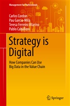 Pablo Caballero, Carlo Cordon, Carlos Cordon, Ferreiro Vilarino, Teresa Ferreiro Vilarino, Pa Garcia-Milà... - Strategy is Digital