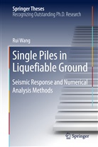 Rui Wang - Single Piles in Liquefiable Ground