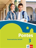 Antje Hellwig - Pontes, Latein für Gymnasien - 3: Pontes 3