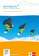 Matthia Janssen, Matthias Janssen - Schnittpunkt Mathematik, Differenzierende Ausgabe für Rheinland-Pfalz: Schnittpunkt Mathematik 5. Differenzierende Ausgabe Rheinland-Pfalz und Saarland