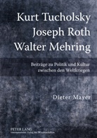 Dieter Mayer - Kurt Tucholsky,Joseph Roth, Walter Mehring