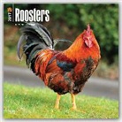 BrownTrout Publisher, Not Available (NA) - Roosters 2017 Calendar