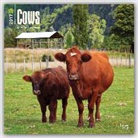 BrownTrout Publisher, Not Available (NA) - Cows 2017 Calendar