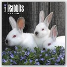 Not Available (NA) - Rabbits 2017 Calendar