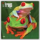 Brown Trout Publisher, Not Available (NA) - Frogs 2017 Calendar