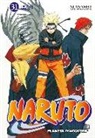 Masashi Kishimoto - Naruto 31