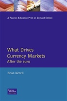 Brian Kettell - What Drives Currency Markets