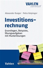 Alexande Burger, Alexander Burger, Alexander (PRof. Dr. Burger, Alexander (PRof. Dr.) Burger, Petra Keipinger - Investitionsrechnung