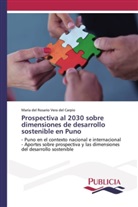 María del Rosario Vera del Carpio - Prospectiva al 2030 sobre dimensiones de desarrollo sostenible en Puno