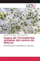 Mario Ramírez-Lepe, Cristoba Torres-Palacios, Cristobal Torres-Palacios - Cepas de Trichoderma aisladas del centro de México