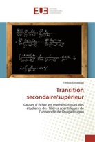 Timbila Sawadogo - Transition secondaire/supérieur