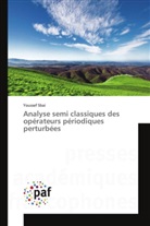 Youssef Sbai - Analyse semi classiques des opérateurs périodiques perturbées