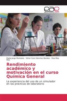 Víctor Caro Sánchez Benites, Paol Jorge Montalvo, Paola Jorge Montalvo, Elva Ríos Ríos - Rendimiento académico y motivación en el curso Química General