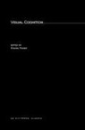 Steven Pinker, Steven Pinker - Visual Cognition