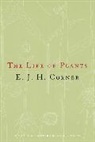 Corner, E. J. H. Corner, E.j.h. Corner, University Of Chicago Press, University Of Chicago Press - The Life of Plants