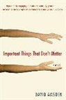 David Amsden - Important Things That Don't Matter