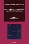 L -H Lyu, L. -H Lyu, Ling-Hsiao Lyu - Space Weather Study Using Multipoint Techniques