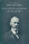William James, John J. Mcdermott, Frederick Burkhardt - Essays in Religion and Morality