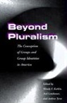 Wendy F Katkin, Wendy F. Katkin, Ned Landsman, Ned C. Landsman, Andrea Tyree - Beyond Pluralism