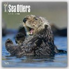 Not Available (NA) - Sea Otters 2017 Calendar