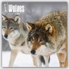 Not Available (NA) - Wolves 2017 Calendar