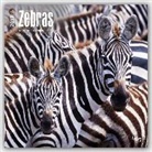 Not Available (NA) - Zebras 2017 Calendar