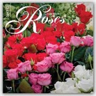 Not Available (NA) - Roses 2017 Calendar