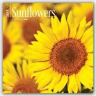 Not Available (NA) - Sunflowers 2017 Calendar