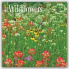 Wildflowers 2017 Wall