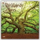 BrownTrout Publisher, Not Available (NA) - Majesty of Trees, the 2017 Calendar