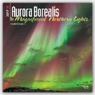Inc Browntrout Publishers, Not Available (NA) - Aurora Borealis the Magnificent Northern Lights 2017 Calendar