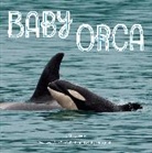 Mary Batten, Batten Mary, Chris Rallis, Chris Rallis - Baby Orca