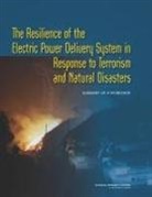 Board On Energy And Environmental System, Board on Energy and Environmental Systems, David W. Cooke, Division on Engineering and Physical Sci, Division on Engineering and Physical Sciences, National Research Council... - The Resilience of the Electric Power Delivery System in Response to Terrorism and Natural Disasters