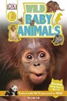 DK, Deborah Lock - Wild Baby Animals