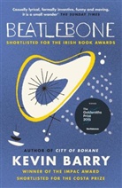 Kevin Barry - Beatlebone