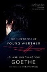 Johann Wolfgang von Goethe - The Sufferings of Young Werther