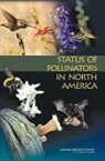 Board On Agriculture And Natural Resourc, Board on Agriculture and Natural Resources, Board On Life Sciences, Committee on the Status of Pollinators i, Committee on the Status of Pollinators in North America, Division On Earth And Life Studies... - Status of Pollinators in North America