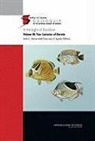National Academy Of Sciences, John C Avise, John C. Avise, Francisco J Ayala, Francisco J. Ayala - In the Light of Evolution