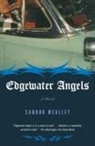 Sandro Meallet - Edgewater Angels